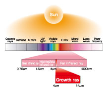 株式会社レインボー 　プラチナダイヤモンドフォトン 商品紹介-健康機器 | 健康文化をクリエイト「株式会社レインボー」