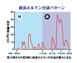 成長ホルモン分泌パターン