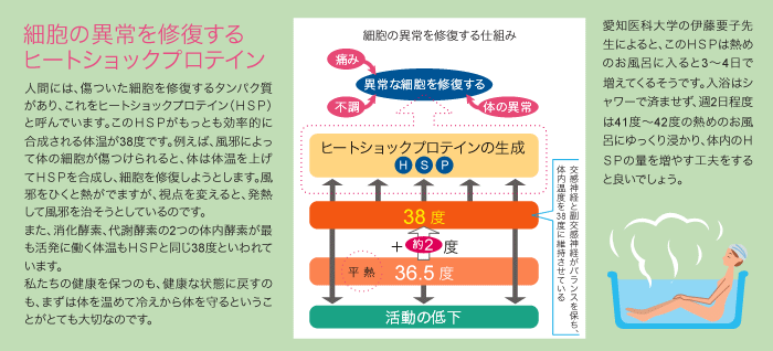 再暮雲お異常を祝福するヒートショックプロテイン